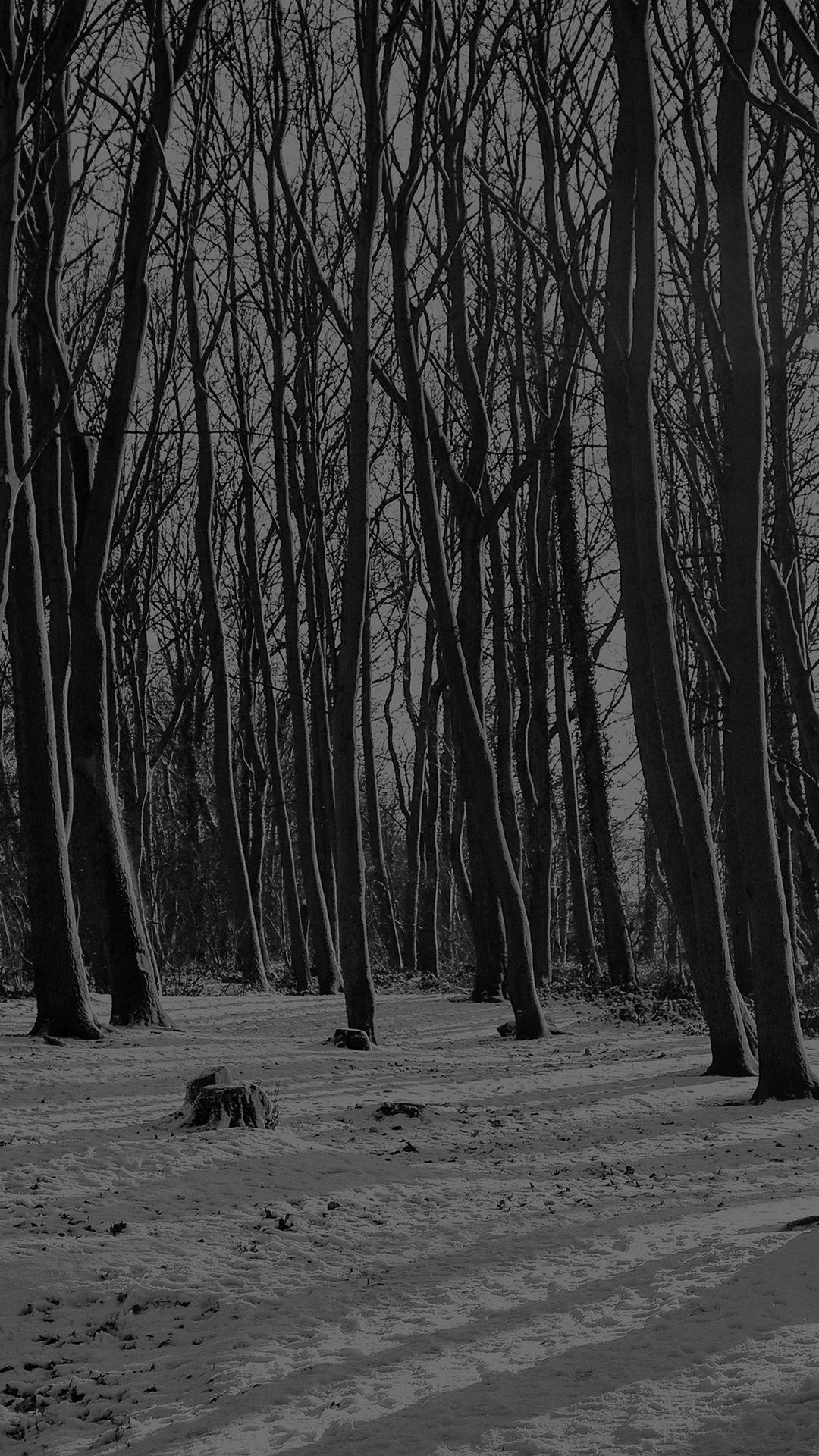 1080x1920 Dark Winter Forest Wallpaper, HD Dark Winter Forest Background on WallpaperBat