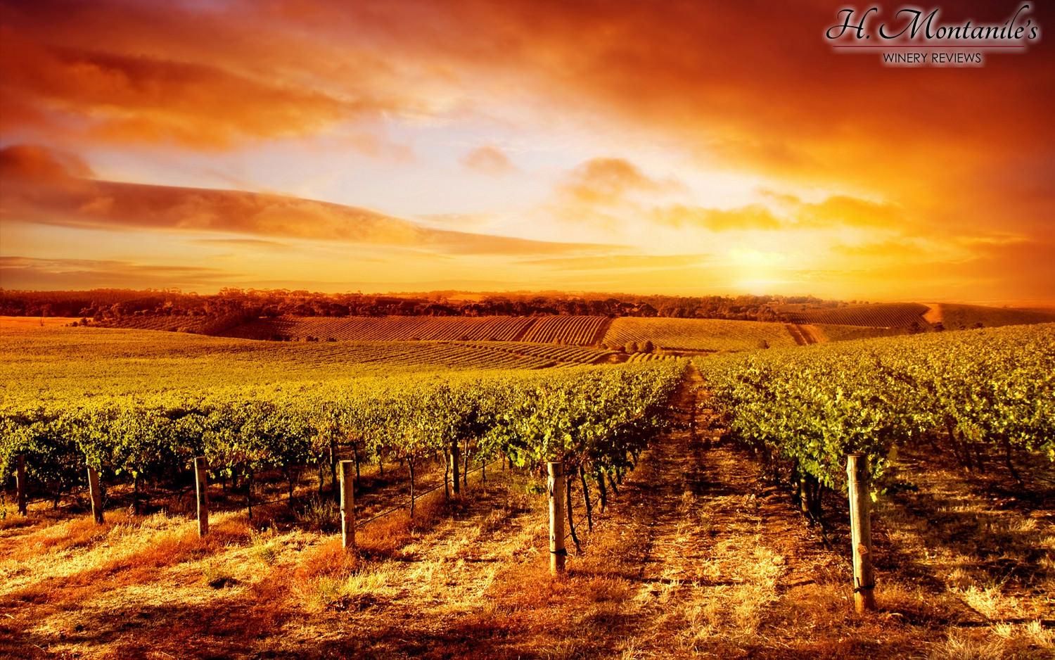1500x938 Winery Review Image Gallery