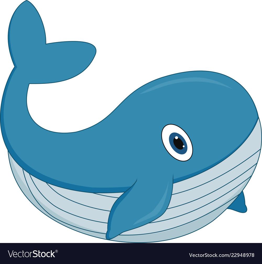 1000x1005 Free download Cute cartoon whale on white background Royalty Vector [1000x1005] for your Desktop, Mobile & Tablet. Explore Whales Background. Whales Wallpaper, Whales Background, Little Whales Wallpaper