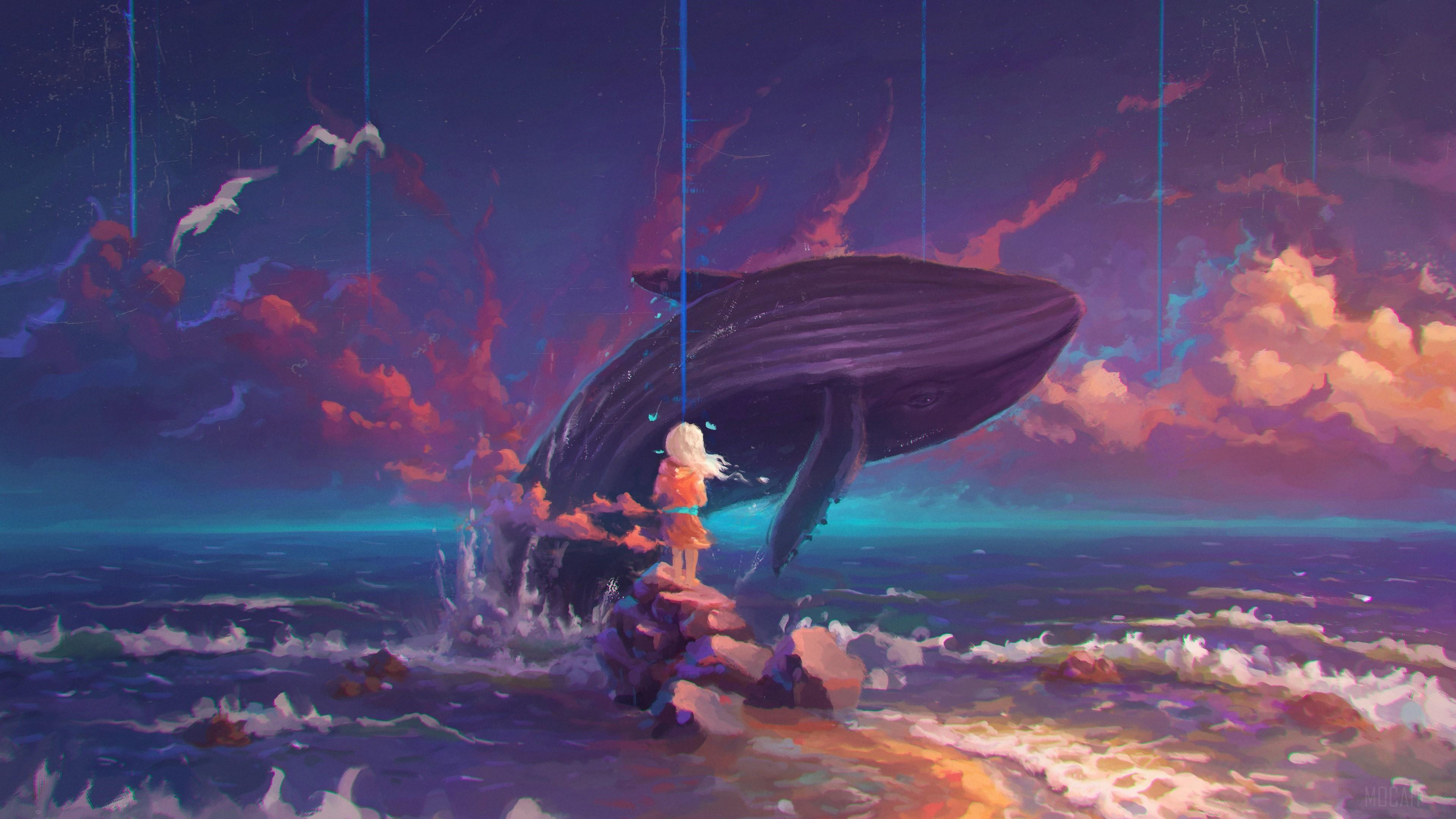 3840x2160 whale HD wallpaper, Background