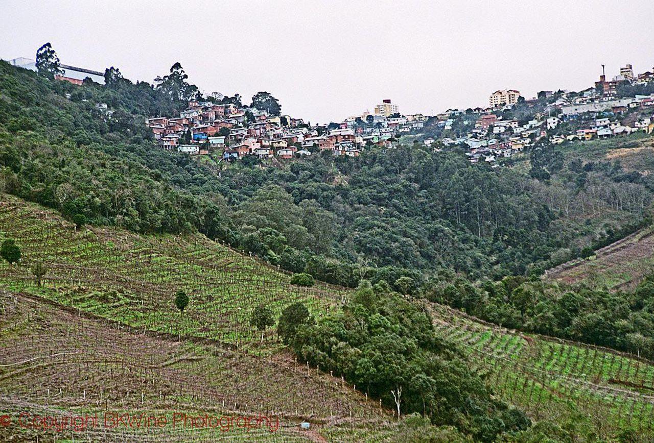 1280x868 Winning Brazilian Wines from Vale dos Vinhedos
