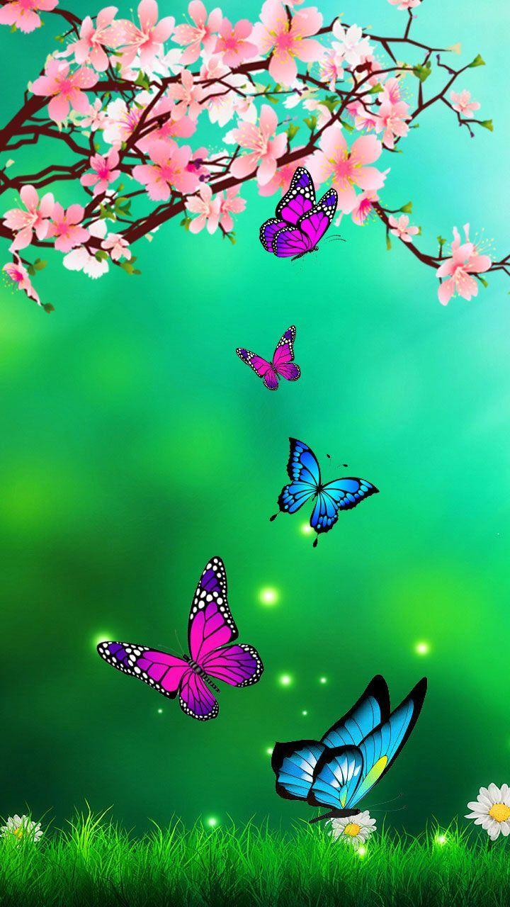 720x1280 Nature Butterfly Wallpaper, HD Nature Butterfly Background on WallpaperBat