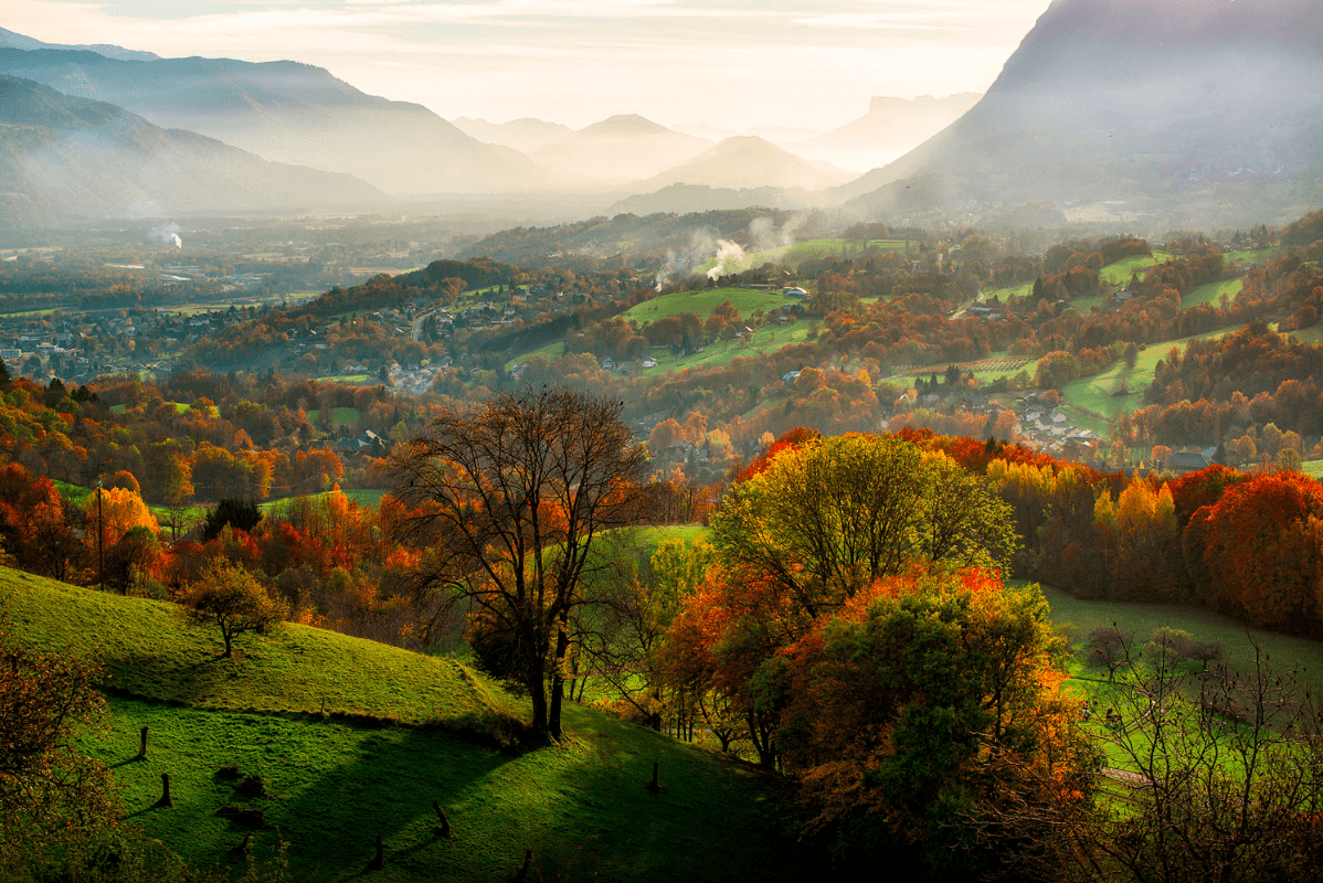 France Vineyard Wallpapers - Top Free France Vineyard Backgrounds ...