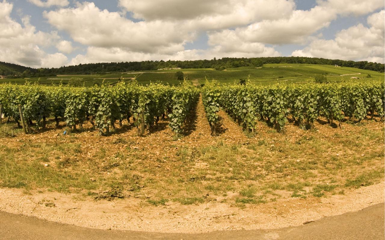 1280x800 Burgundy: scenic drives