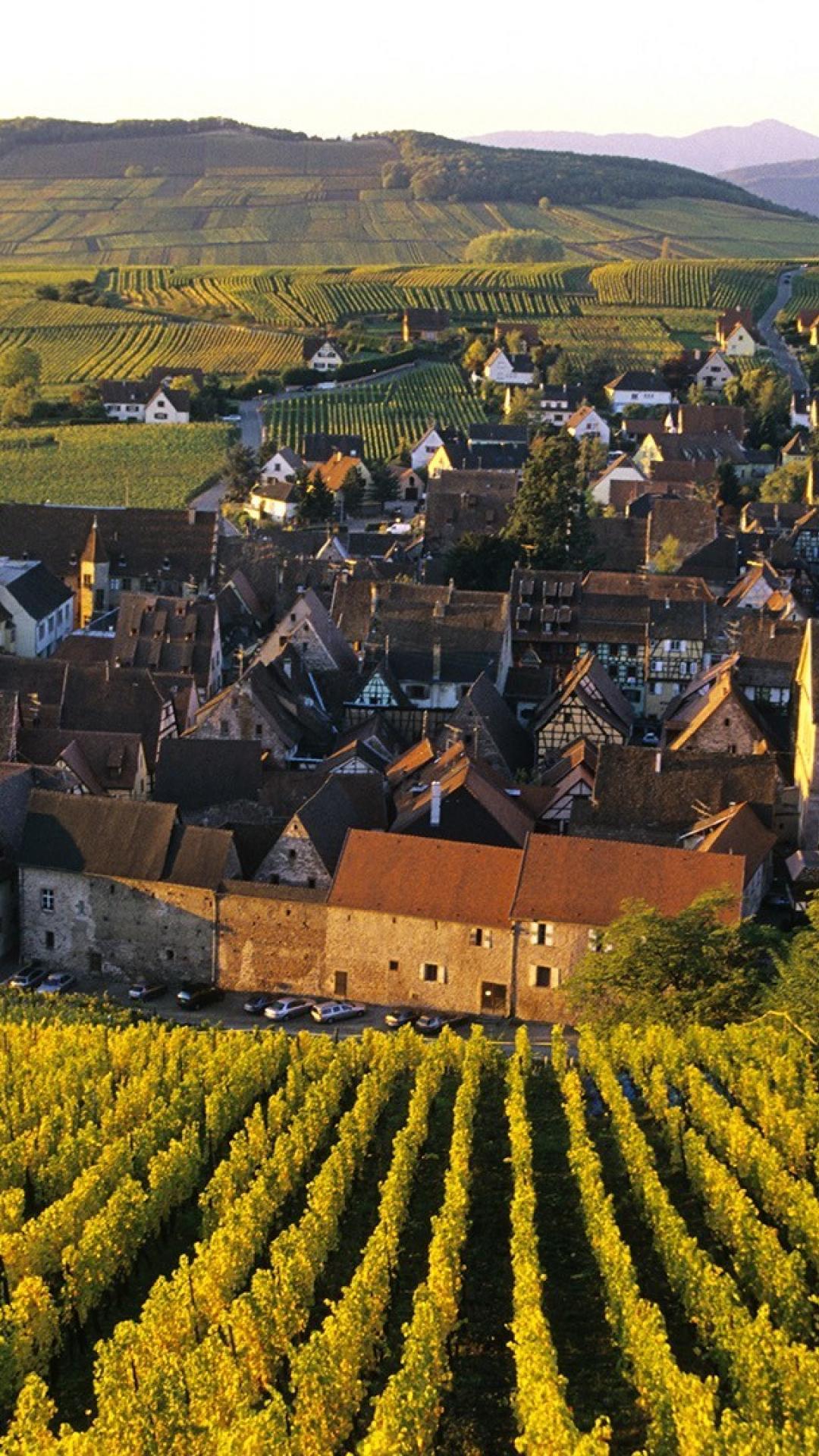 1080x1920 France wine village wallpaper