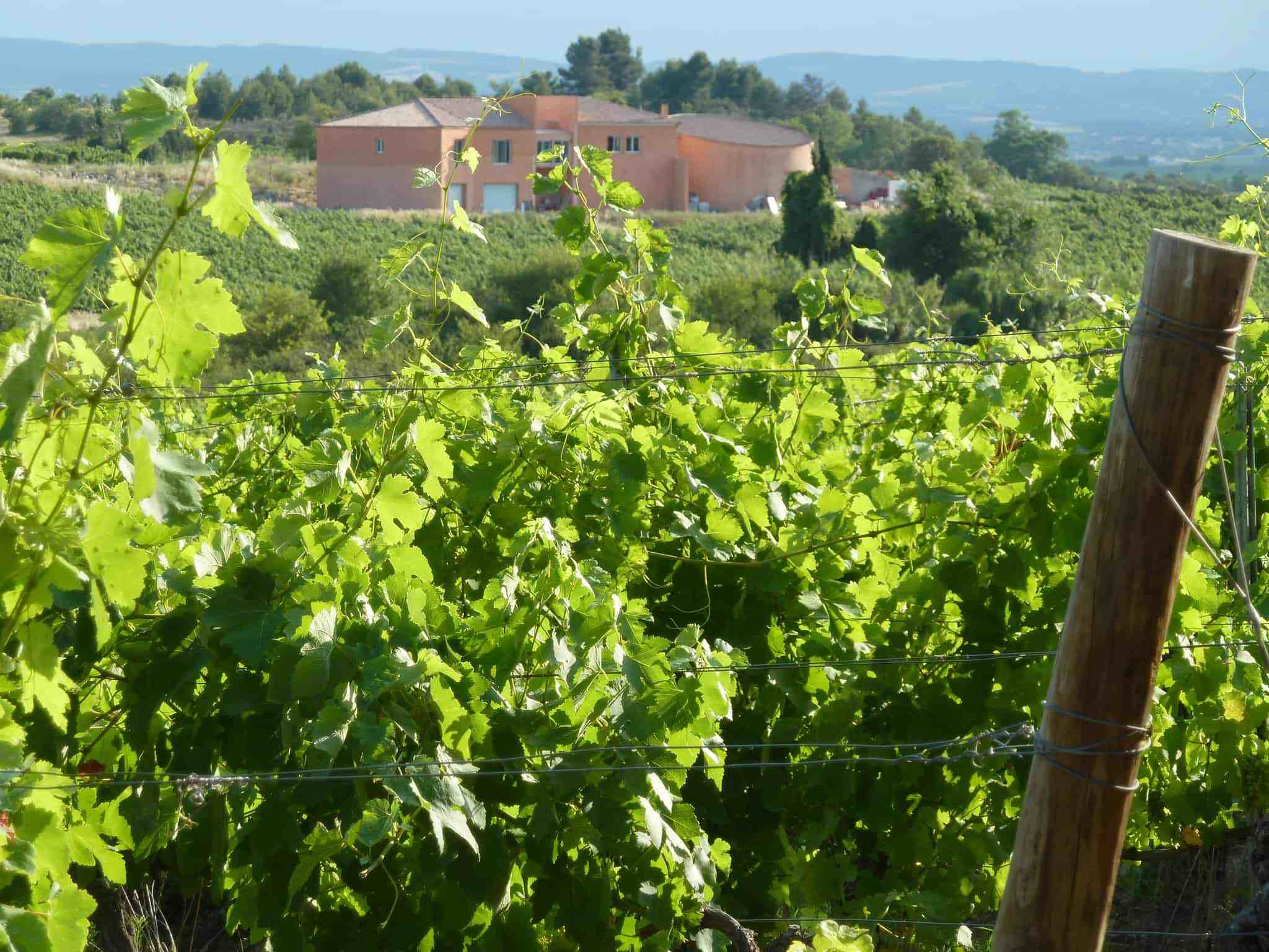 2048x1536 Domaine O'Vineyards Carcassonne France