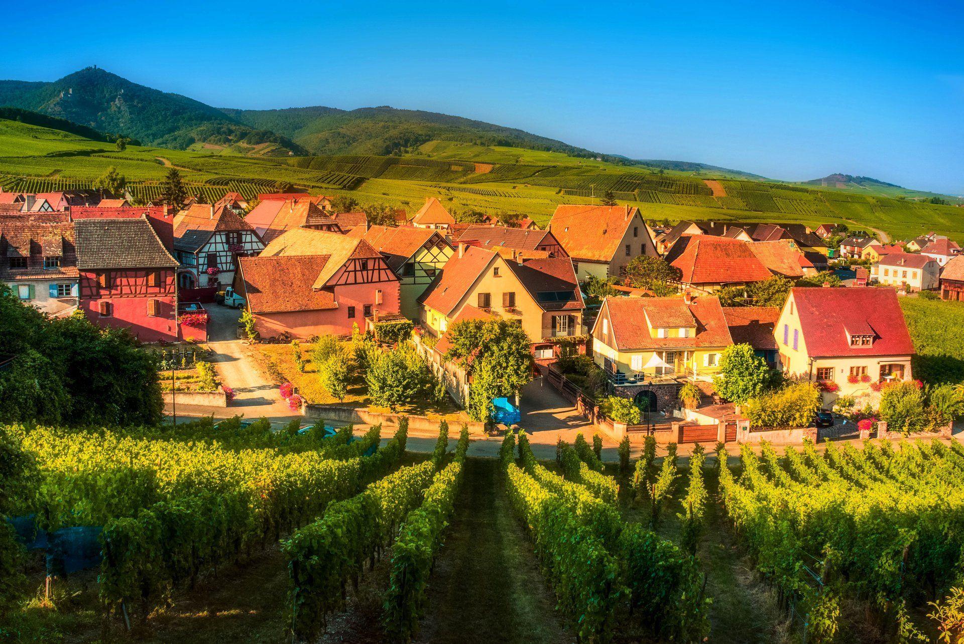 1920x1283 Man Made Village House France Mountain Landscape Tree Vineyard