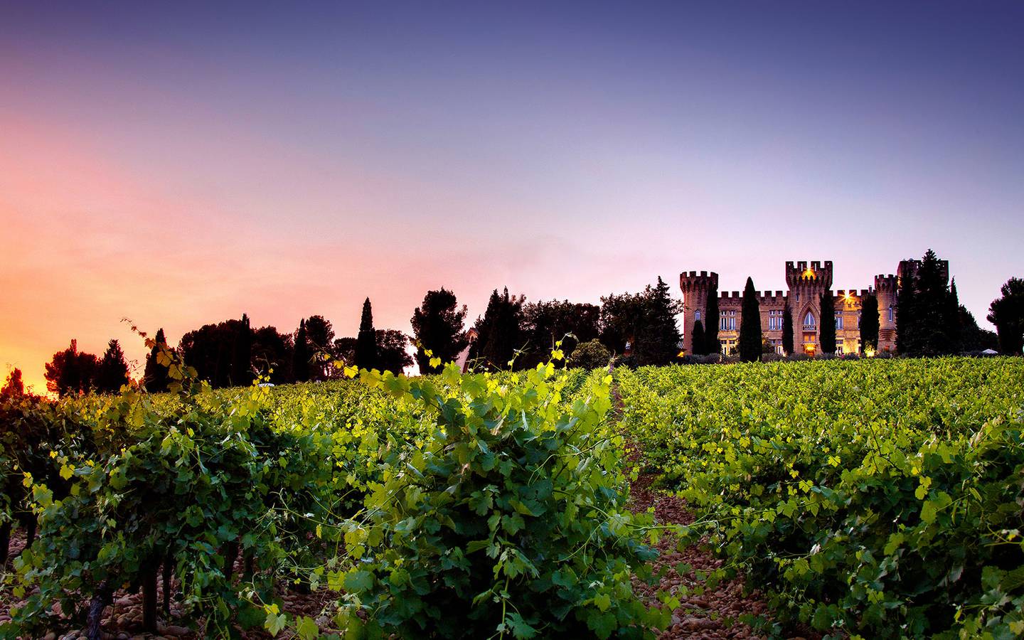 1440x900 Wine Maps: Chateauneuf Du Pape