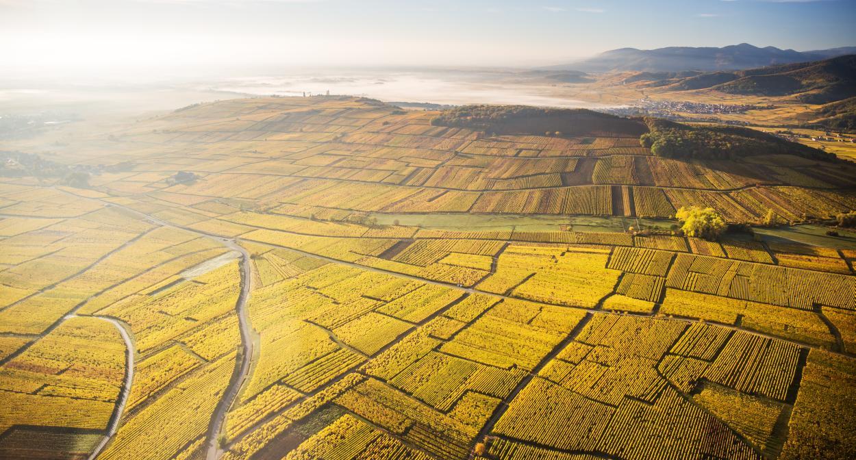1250x672 The greatest destinations in the vineyards of France