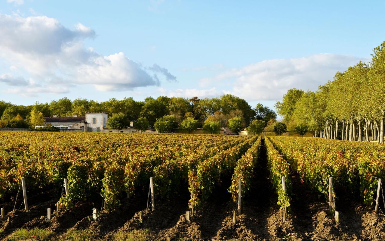 1280x800 Bordeaux attractions
