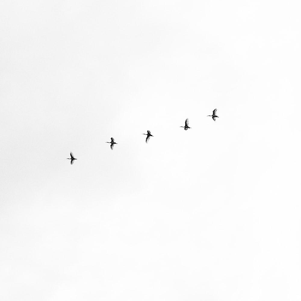 1000x1000 minimalist aesthetic. best free minimalist, white, background and grey photo