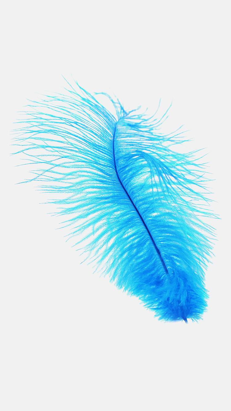 750x1334 Feather Blue White Nature Minimal Wallpaper