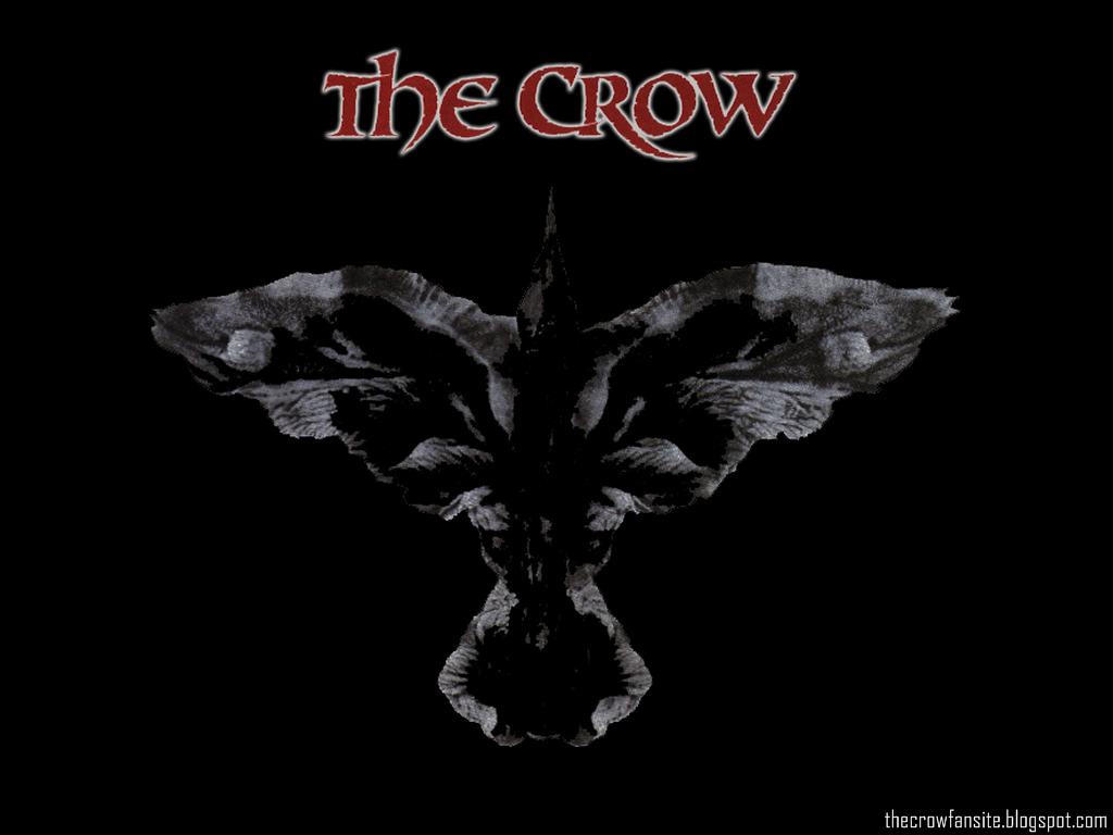 1024x768 firelliwallpaper: Black Crow Wallpaper