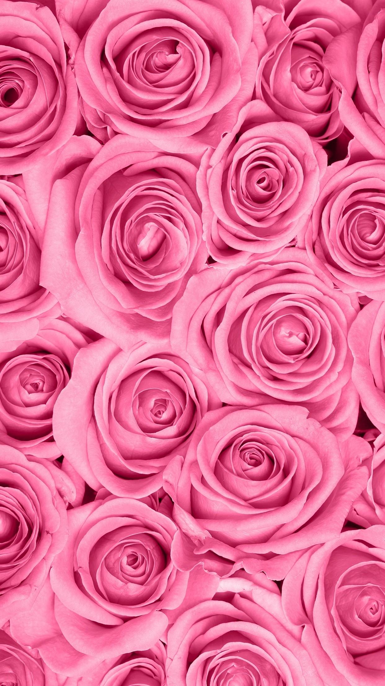 Mobile Rose Wallpapers Top Free Mobile Rose Backgrounds WallpaperAccess