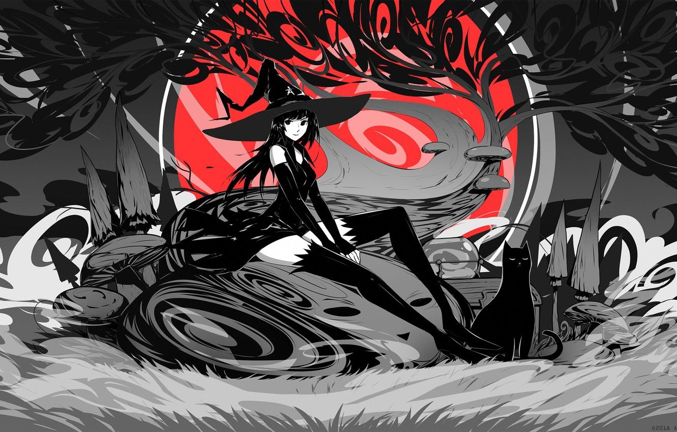 1332x850 Wallpaper girl, magic, hat, witch, witch, black cat, black cat image for desktop, section арт