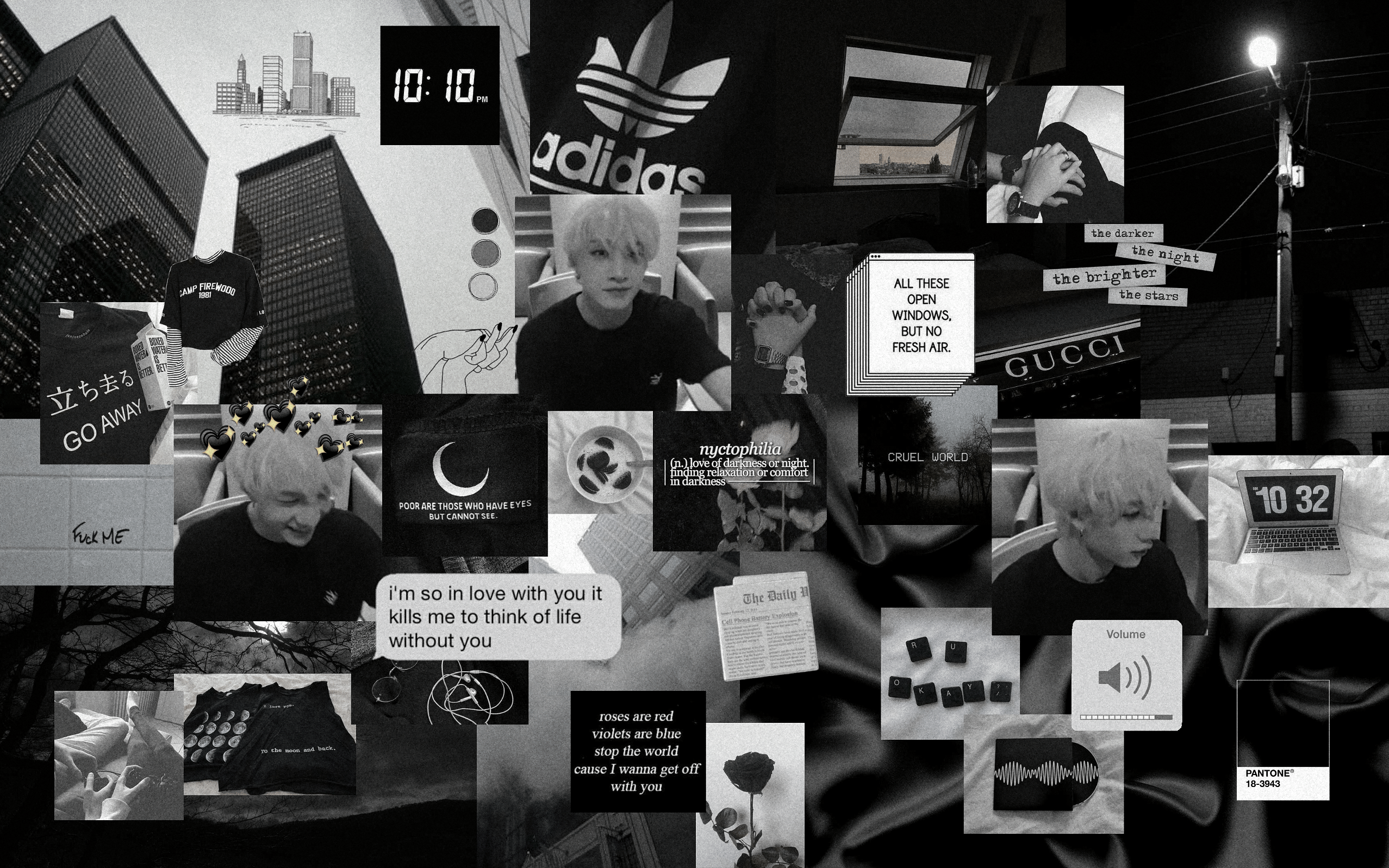 2555x1597 desktop wallpaper