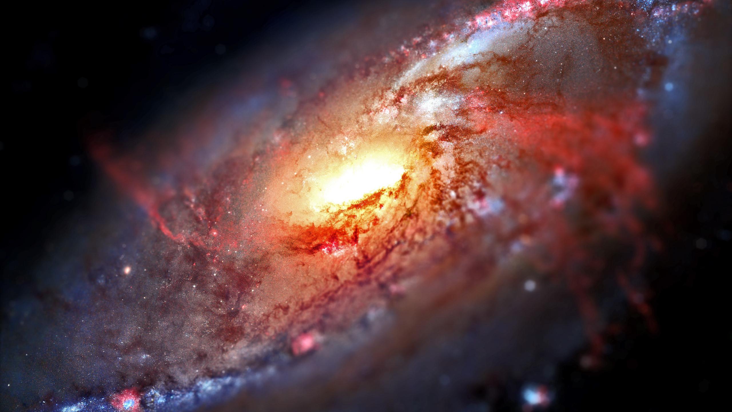 2560x1440 1440p Wallpaper Space
