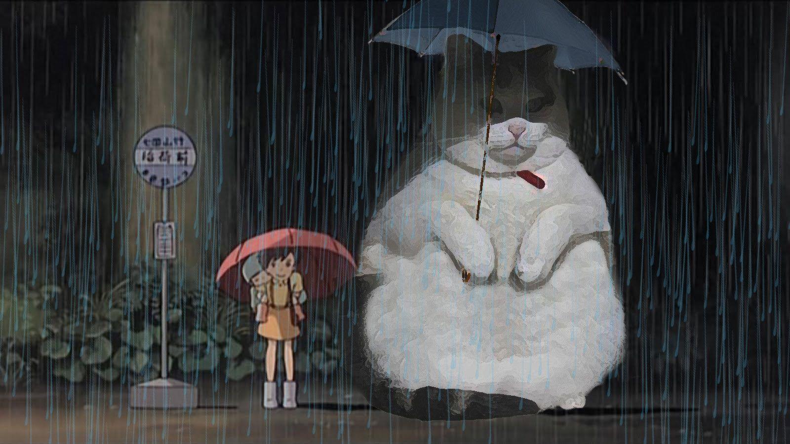 1600x900 Supervisor Fatcat as Totoro
