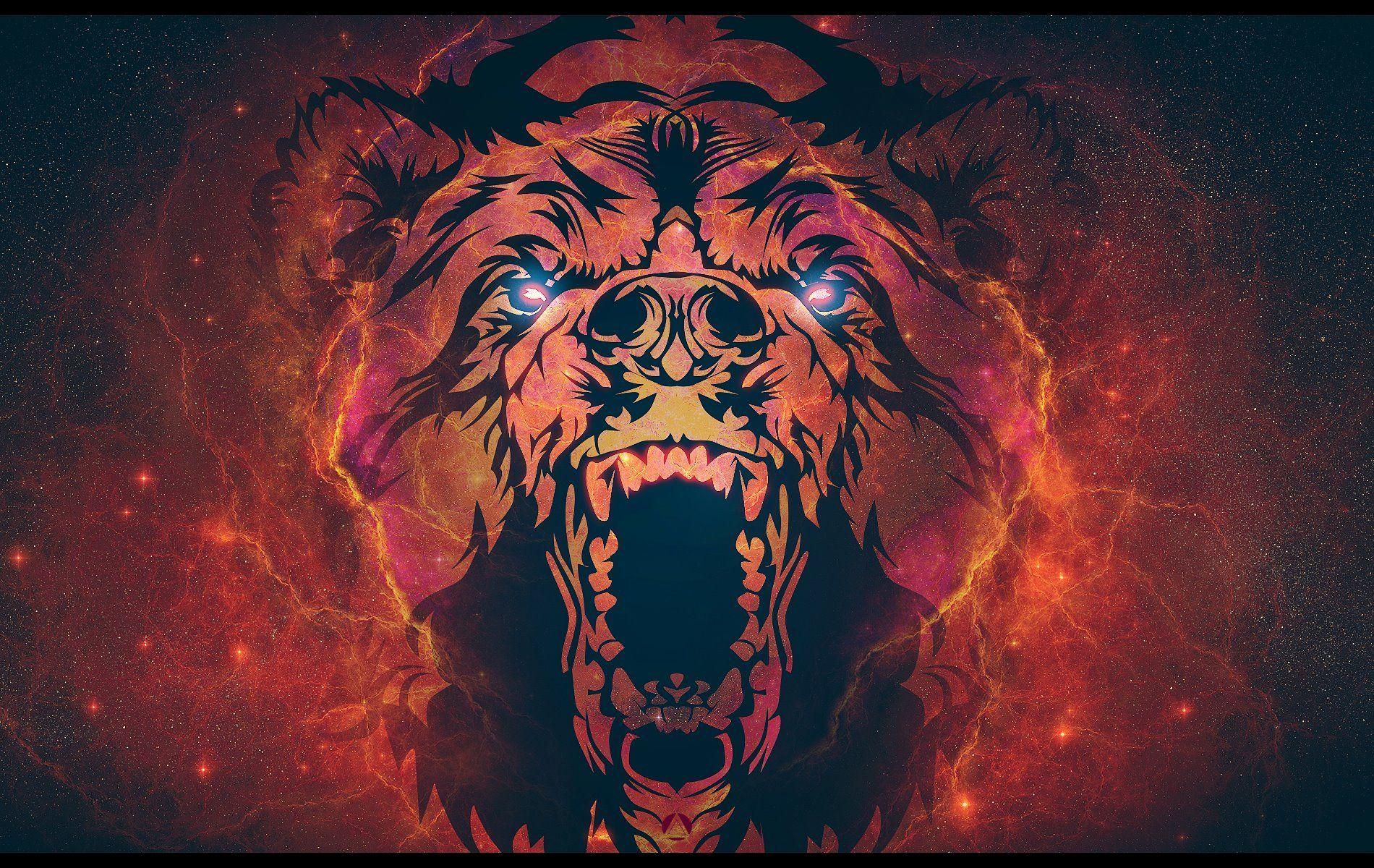 1900x1200 Cool Bear Wallpaper