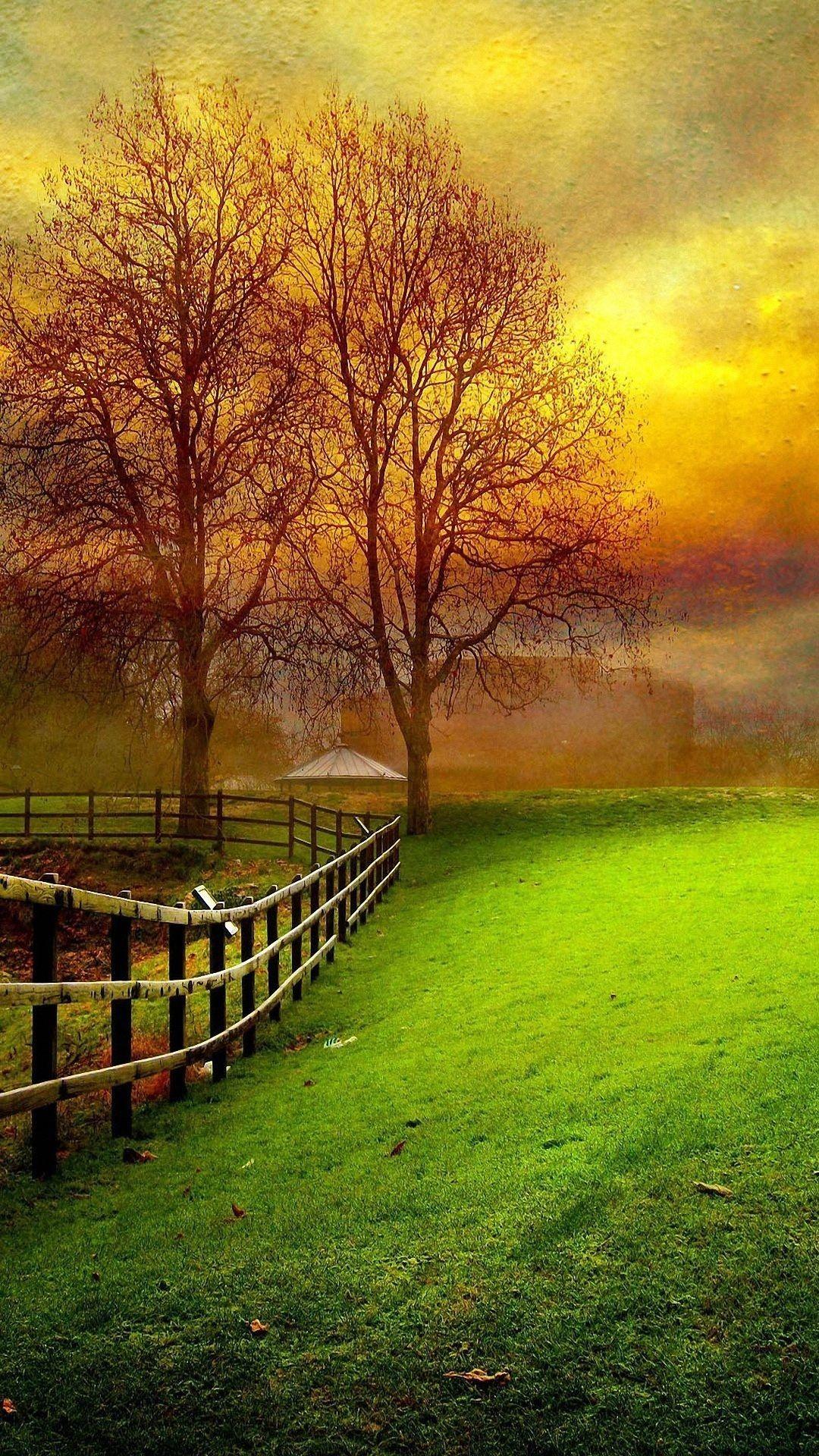 1080x1920 Unique Nature Full Grass Fullscreen Wallpaper