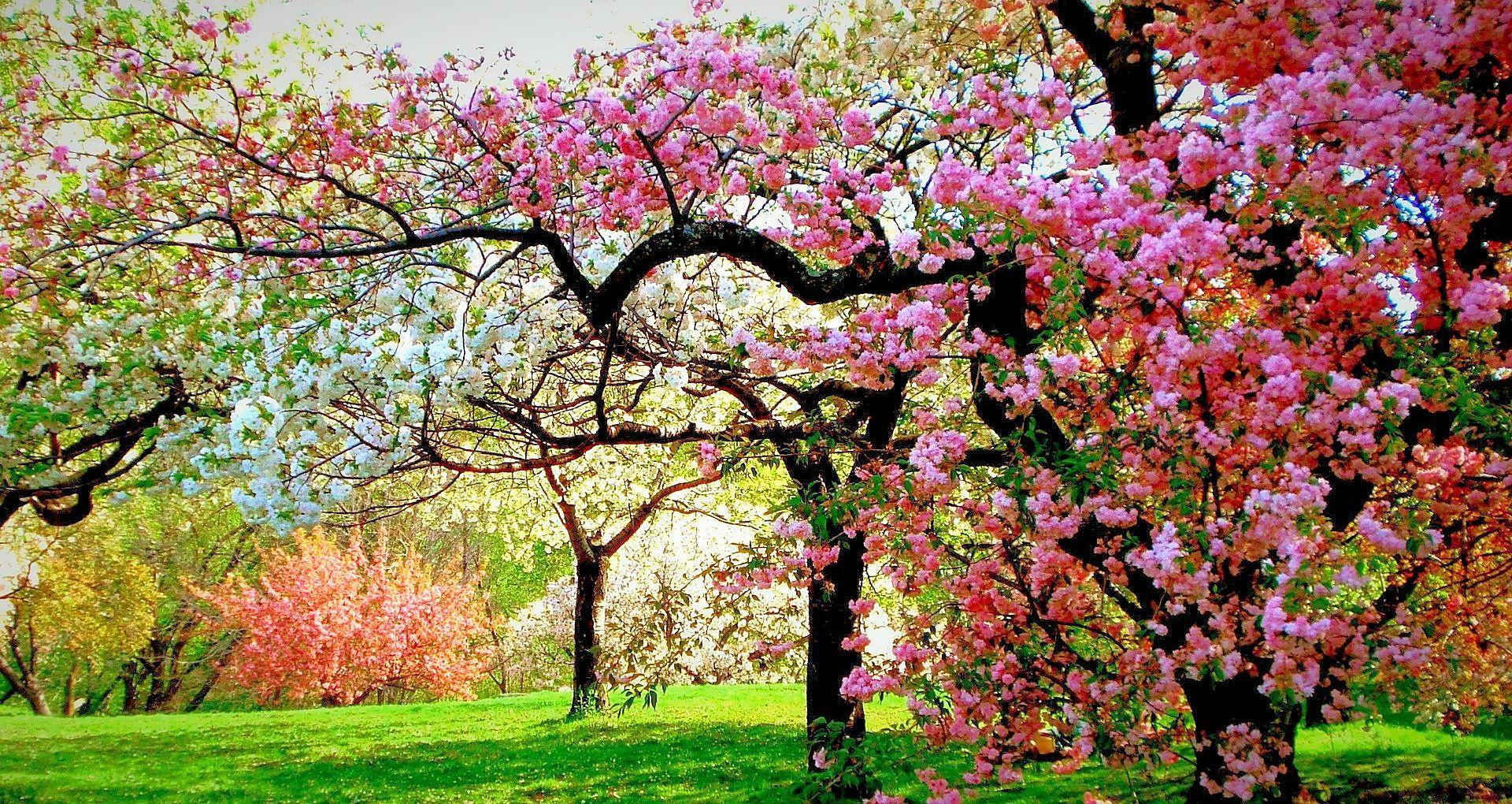 Fullscreen Wallpapers Top Free Fullscreen Backgrounds