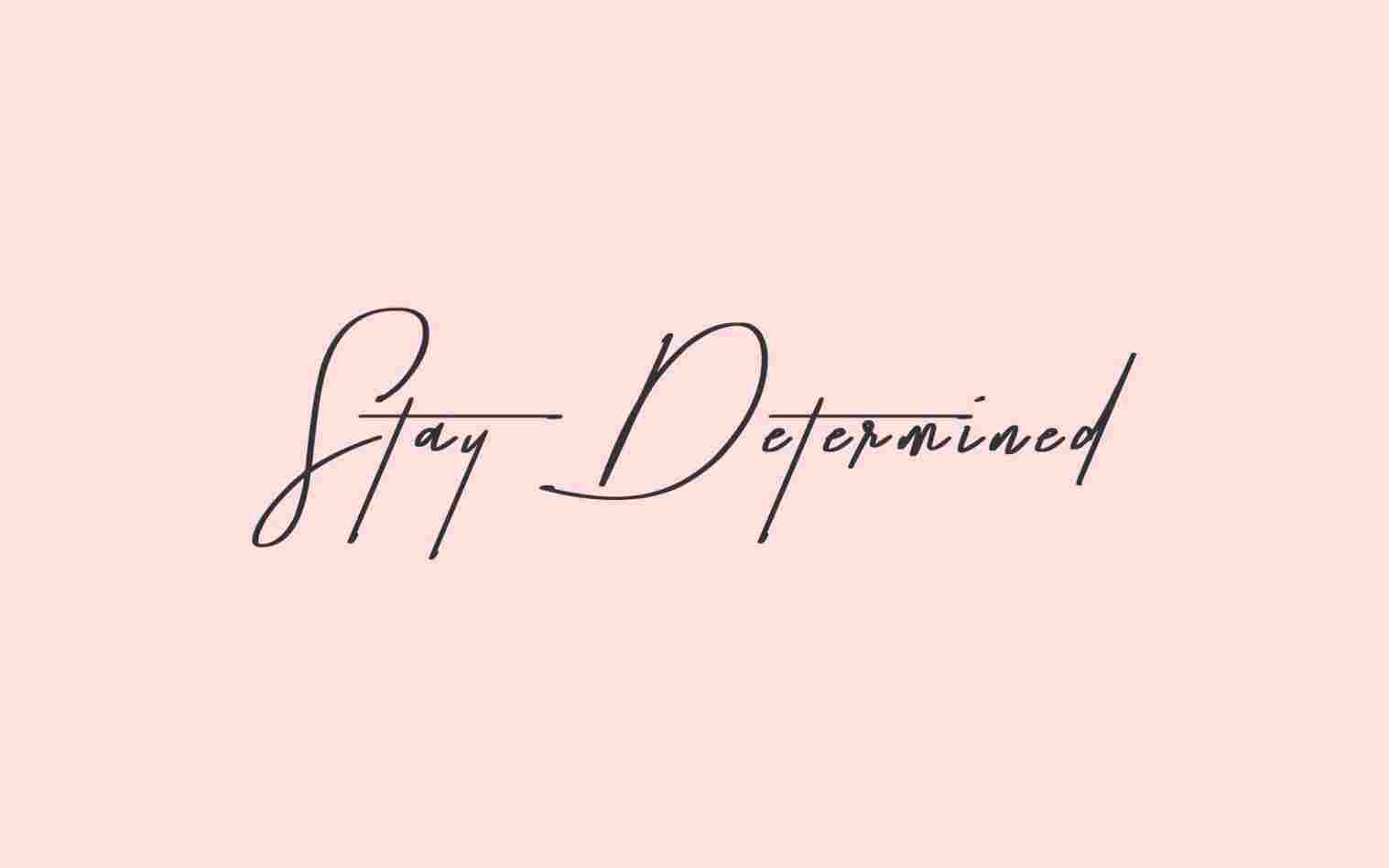 1517x948 Laptop Background Free Download Page Of