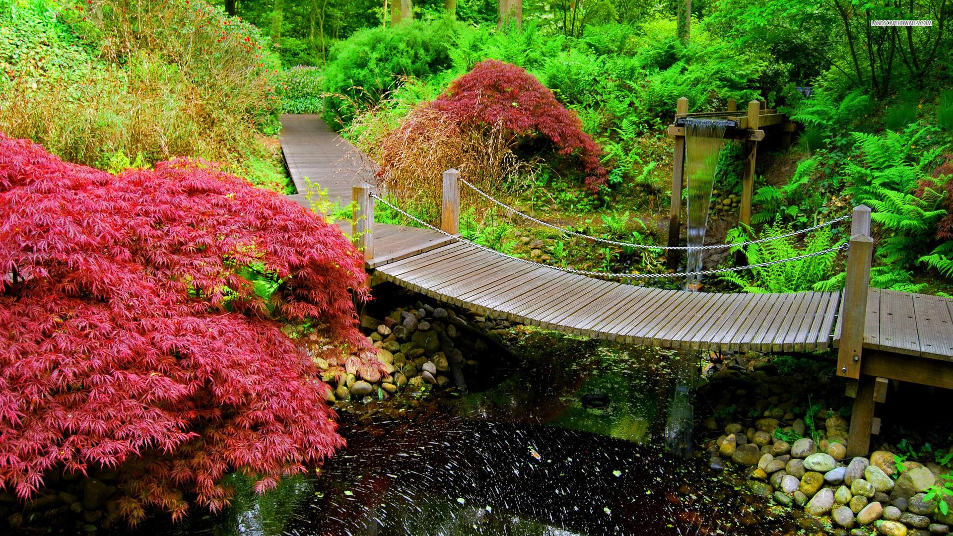 1920x1080 Best HD Wallpaper Garden