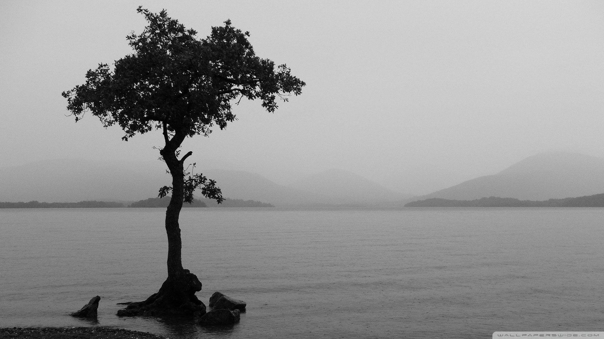 1920x1080 Cool Black And White Wallpaper Resolution Desktop And White River HD Wallpaper