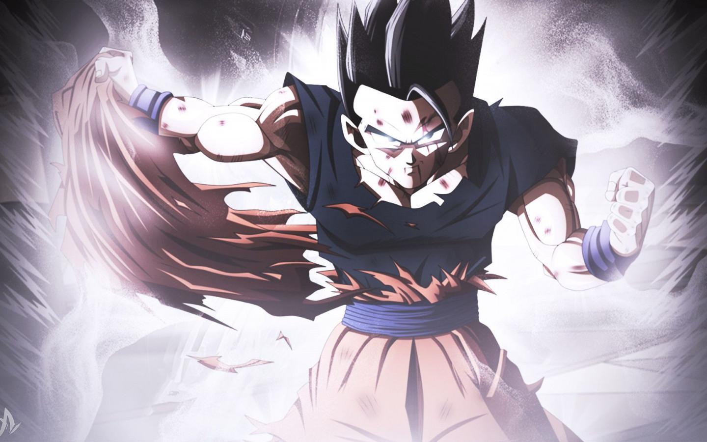 1440x900 Gohan Widescreen Wallpaper 40809
