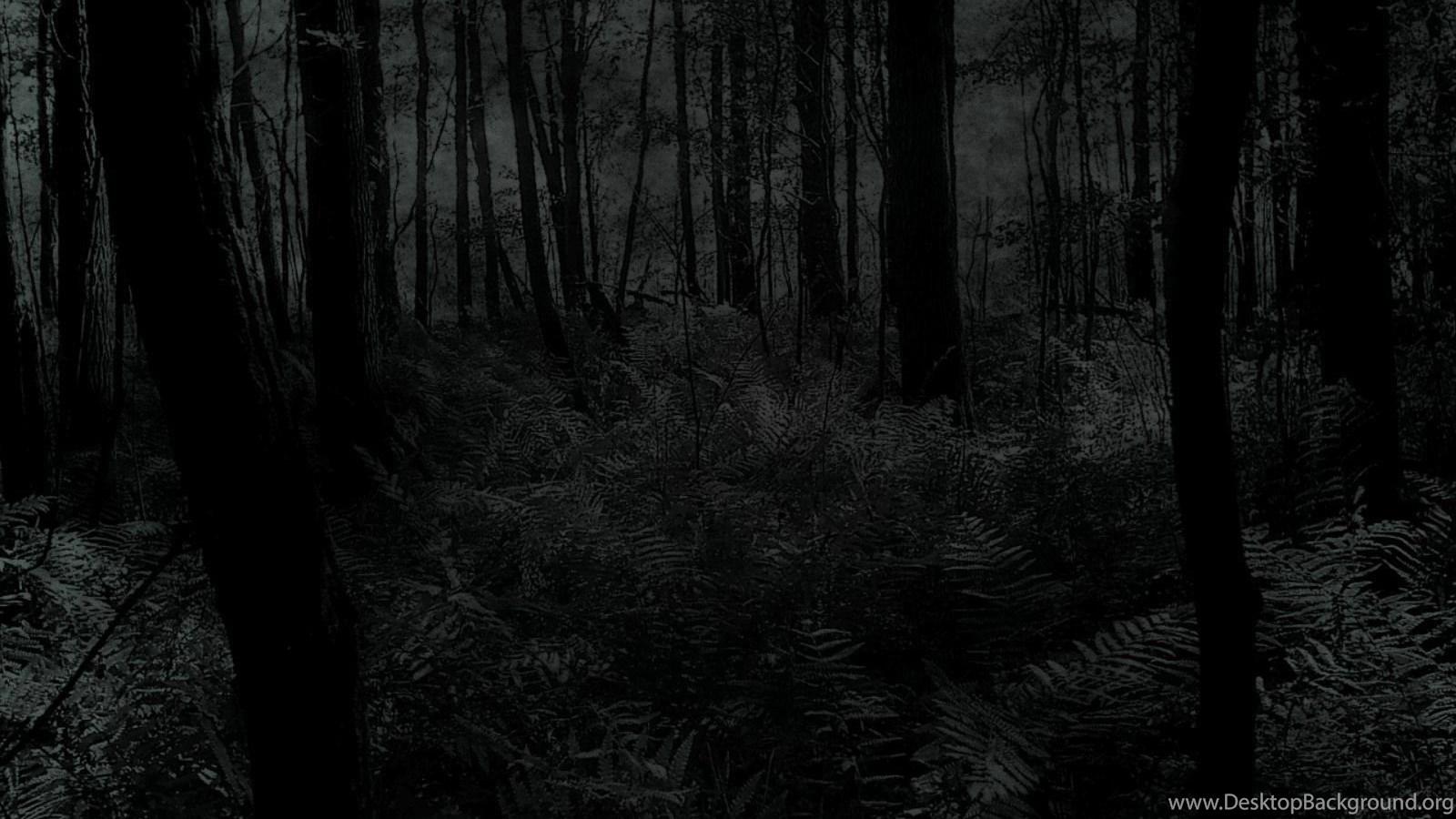 1600x900 Creepy Trees Dark Forests Woods Wallpaper Desktop Background