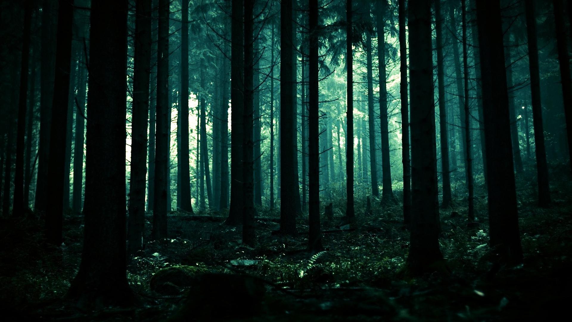 Dark Scary Forest Wallpapers - Top Free Dark Scary Forest Backgrounds ...