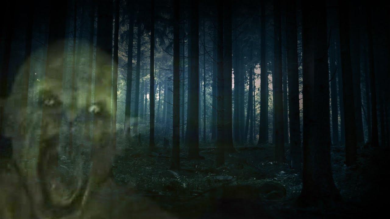 1280x720 Creepy forest background
