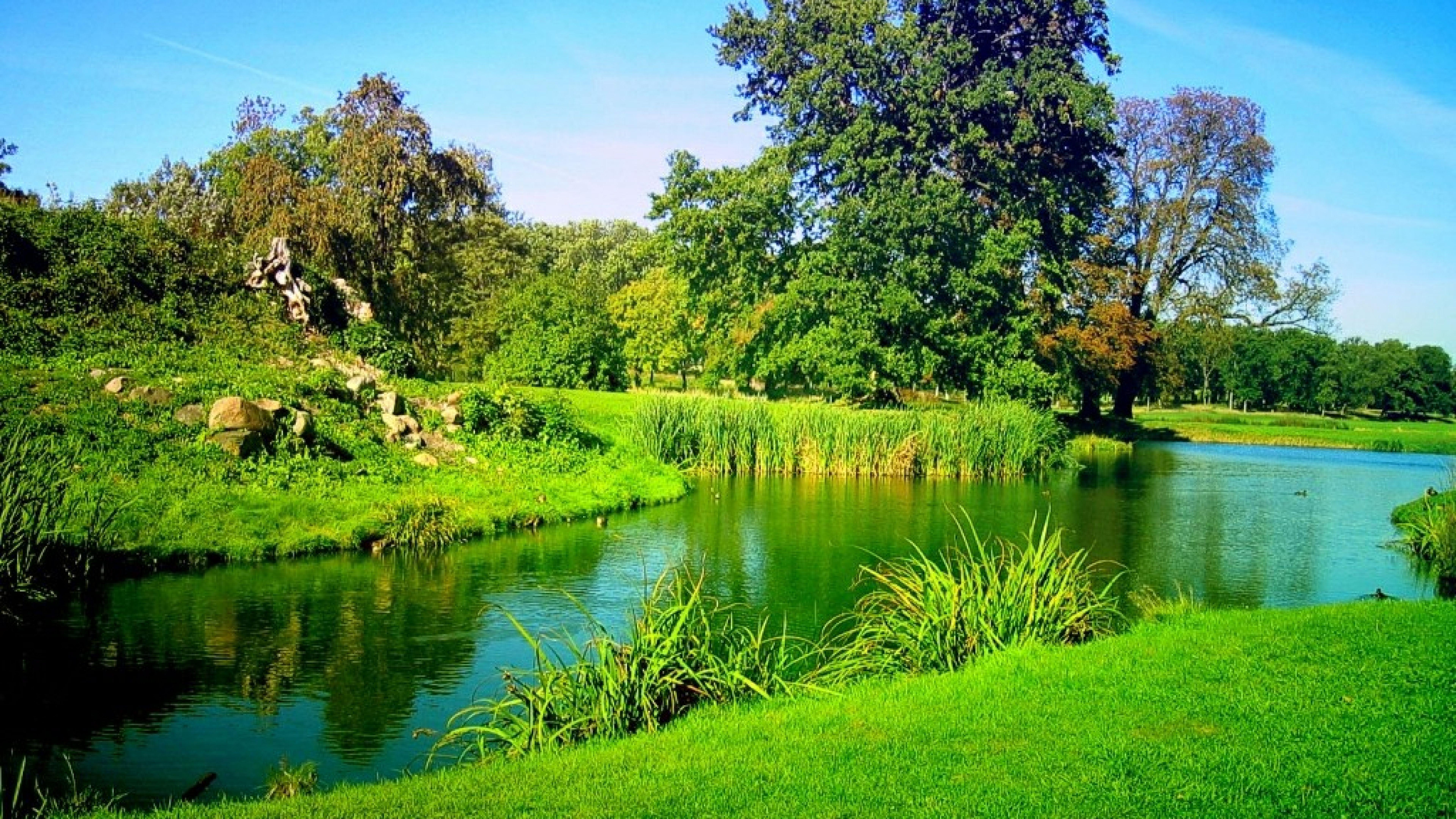 7680x4320 8k Wallpaper Nature