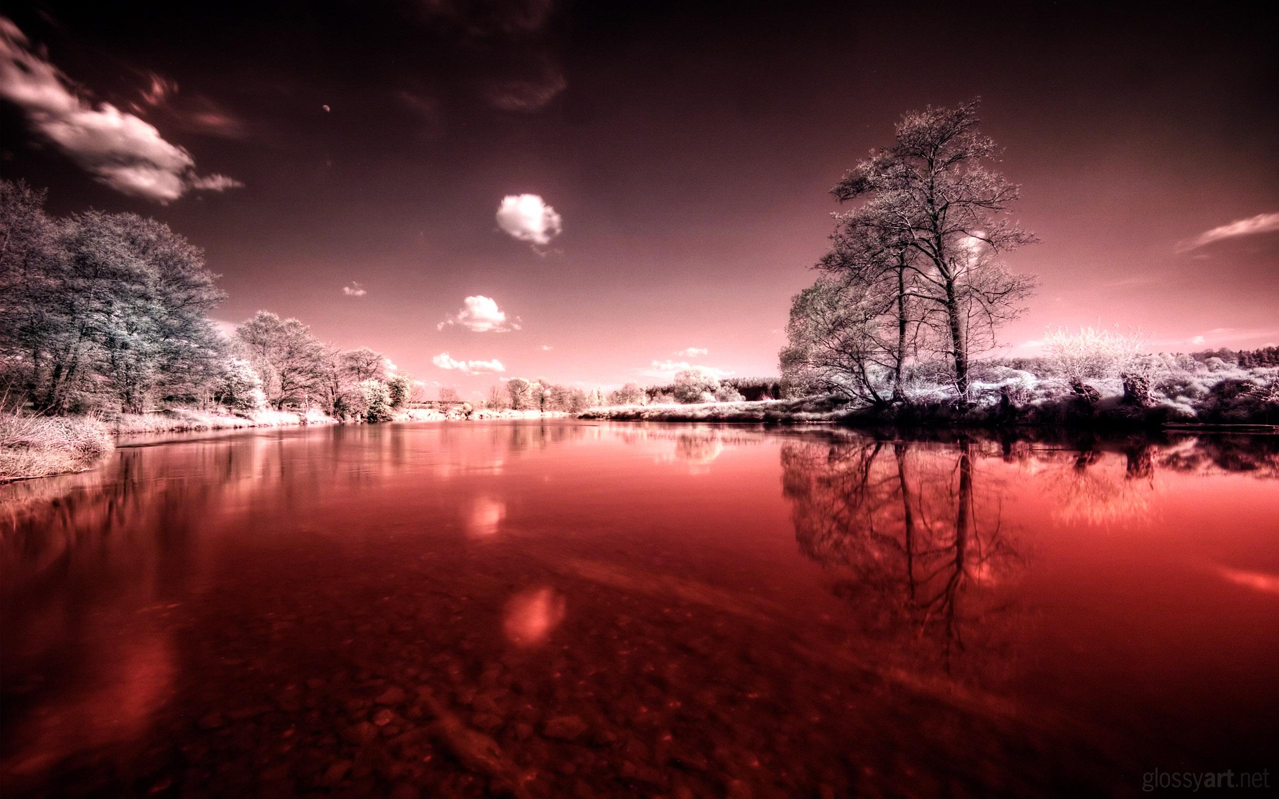 2560x1600 Blood Wallpaper HD