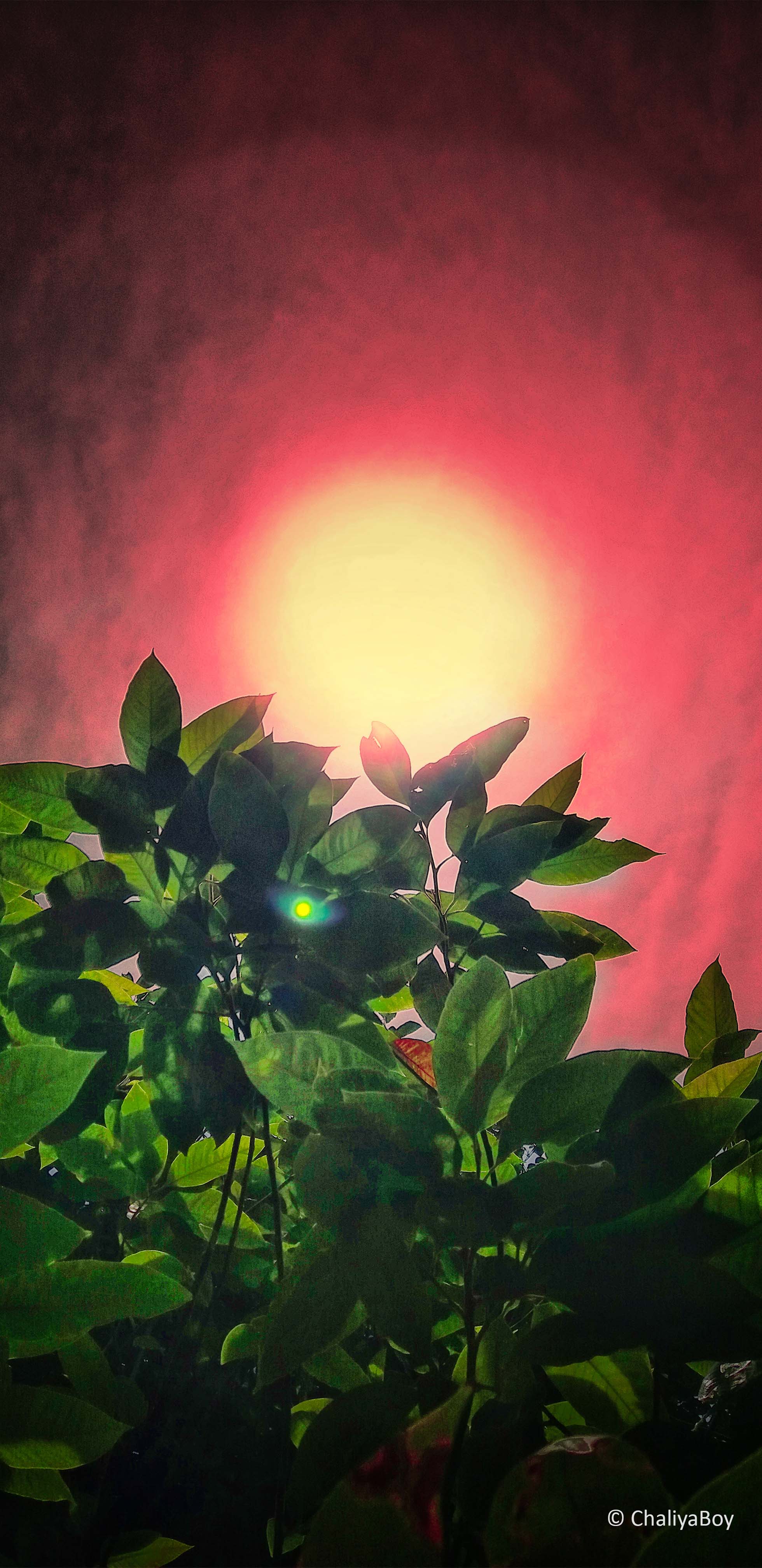 1960x4032 Red Bloody Sun Photography 4K Ultra HD Mobile Wallpaper