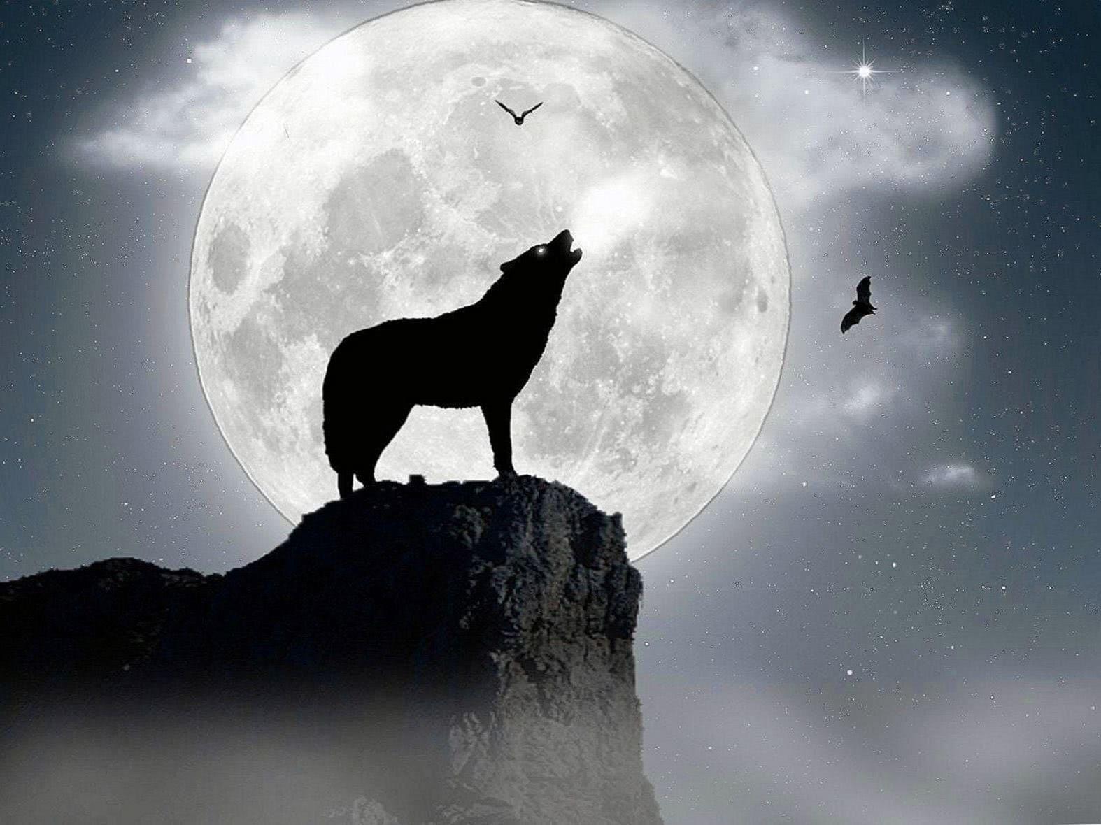 1574x1180 Black And White Wolf Howling At The Moon Wallpaper Background Image