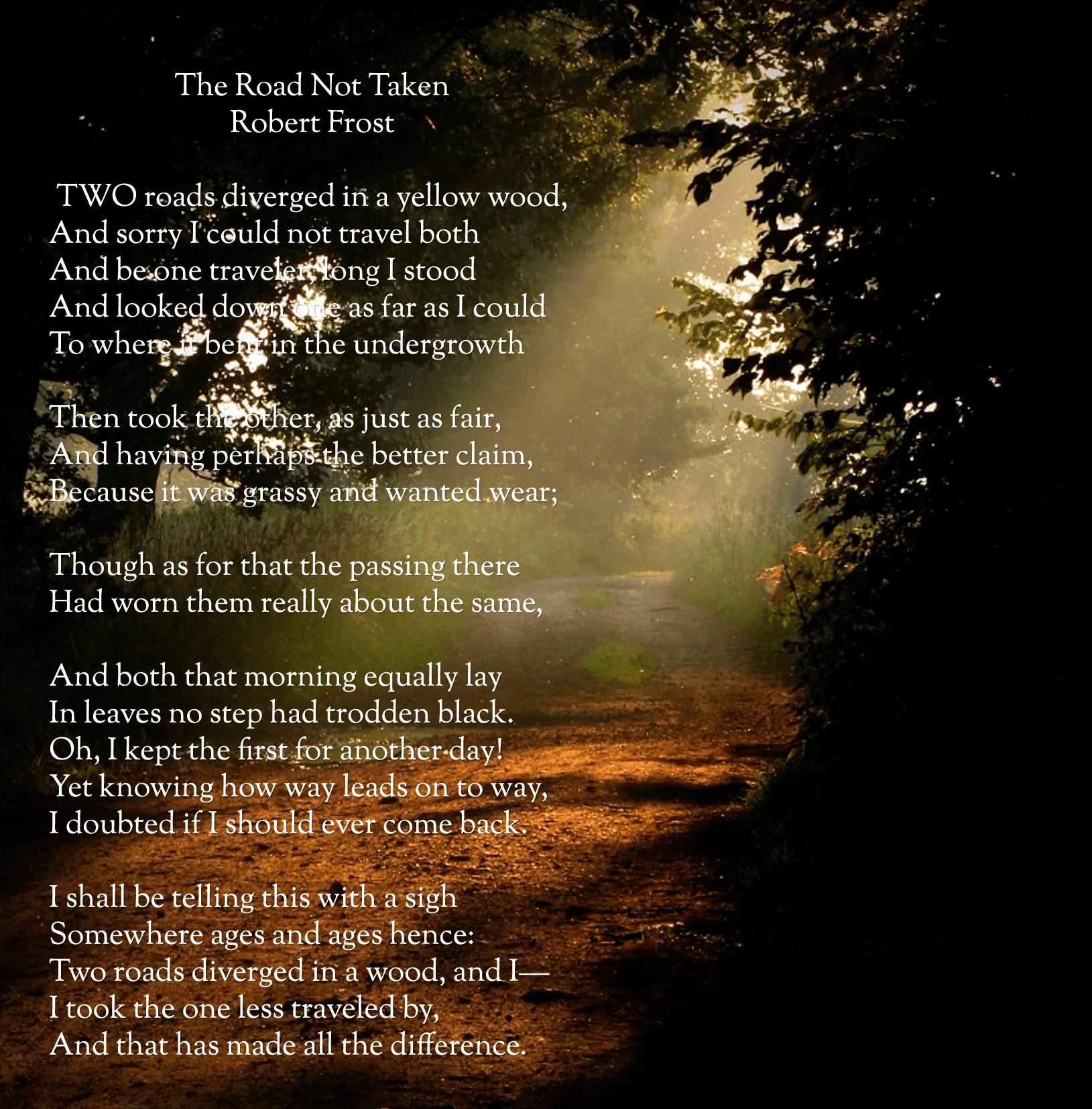 1629x1653 Road Not Taken wallpaper, Video Game, HQ Road Not Taken pictureK Wallpaper 2019