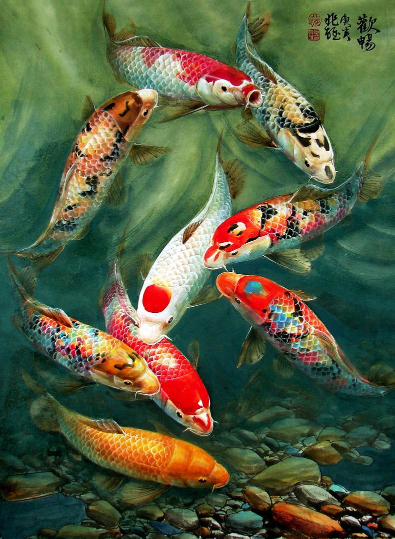 3D Koi Wallpapers Top Free 3D Koi Backgrounds WallpaperAccess