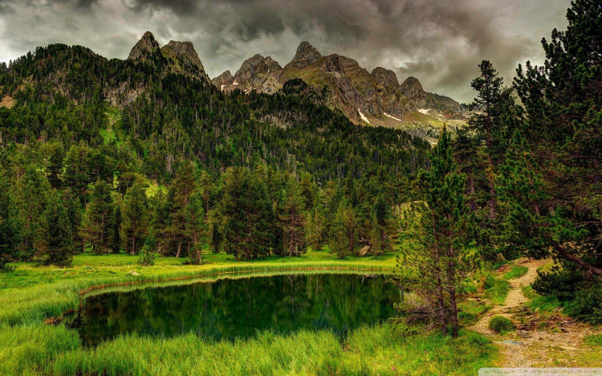 1920x1200 Pond In Forest High Mountain ❤ 4K HD Desktop Wallpaper for 4K Ultra