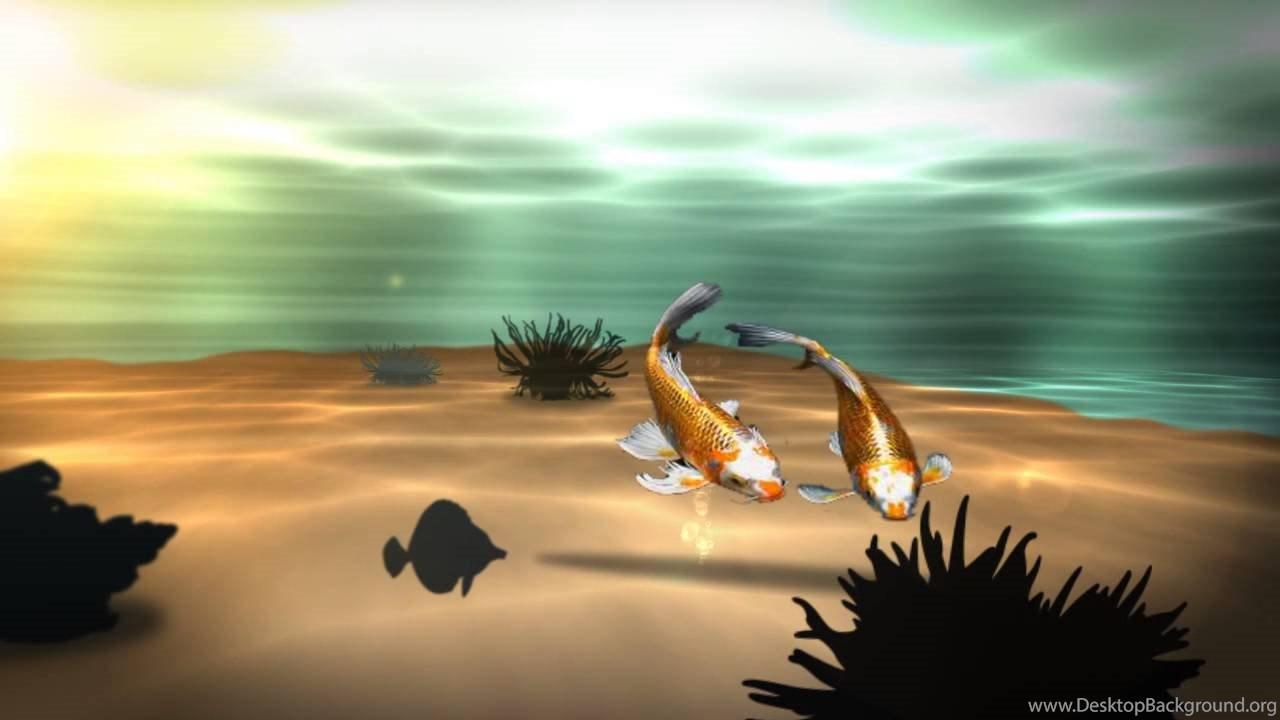 1280x720 Koi 3D Fish Pond Live Wallpaper YouTube Desktop Background