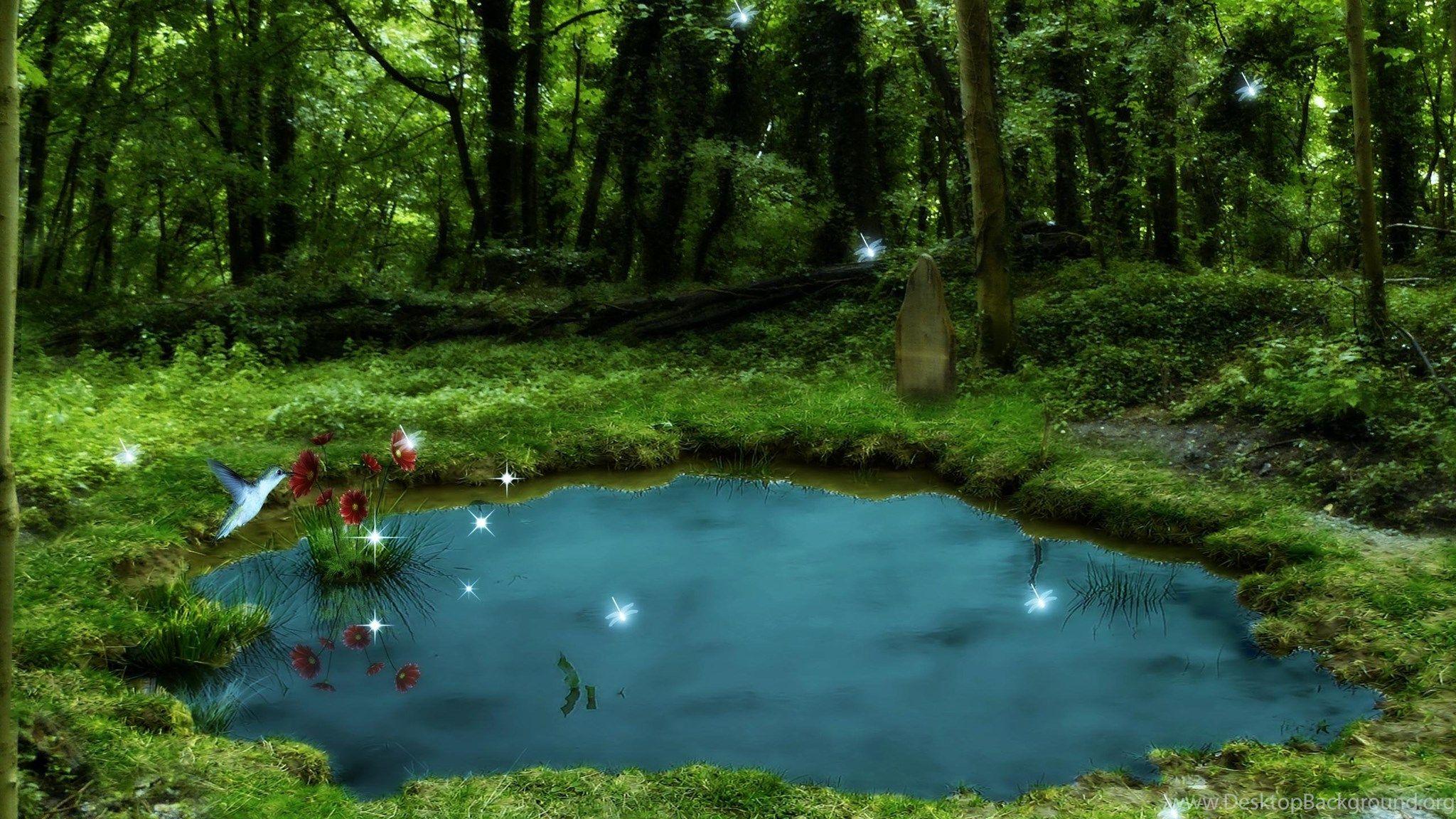 2048x1152 Free Pond Wallpaper Desktop Background