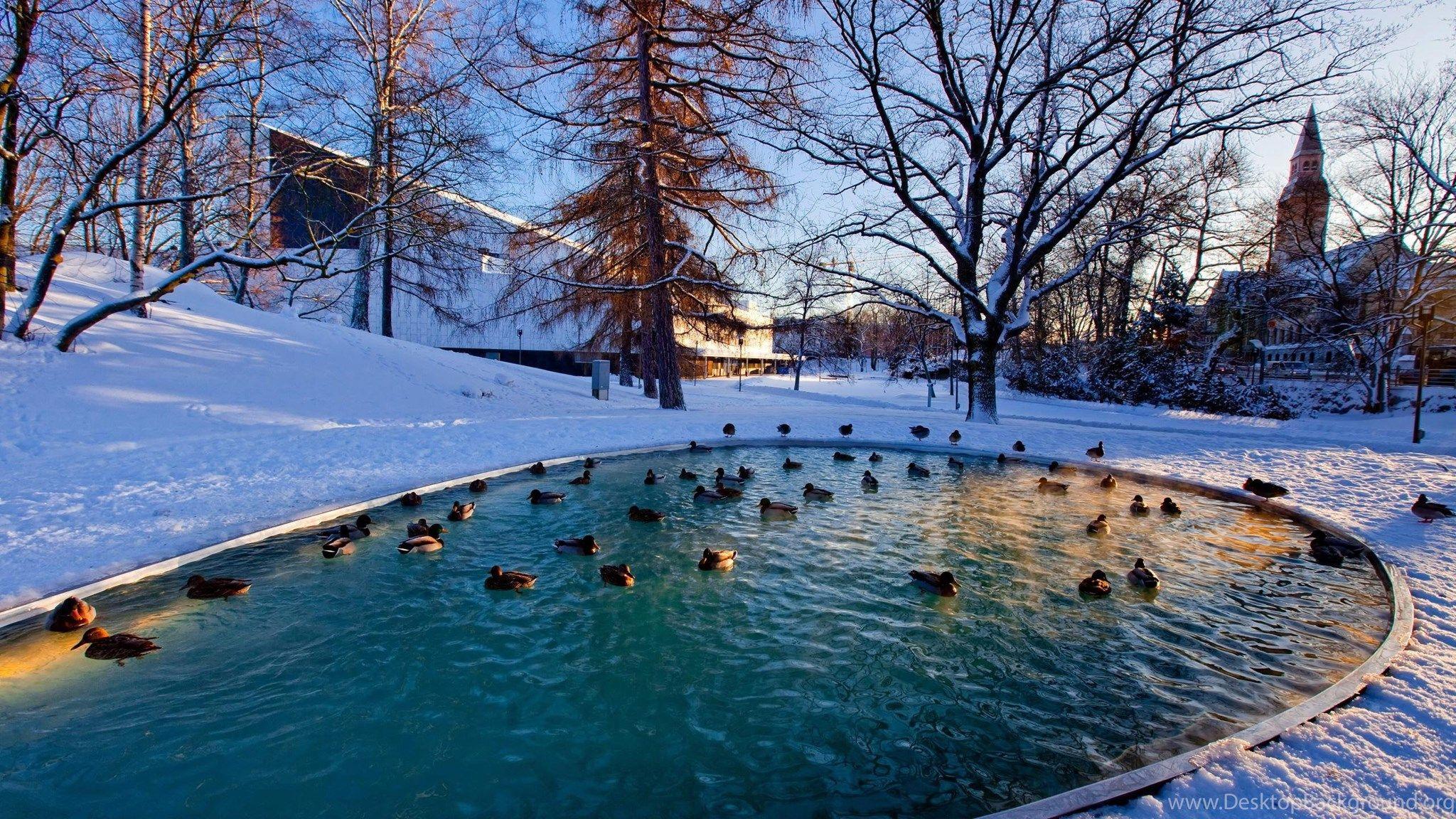 2048x1152 Winter Pond >> HD Wallpaper, Get It Now! Desktop Background