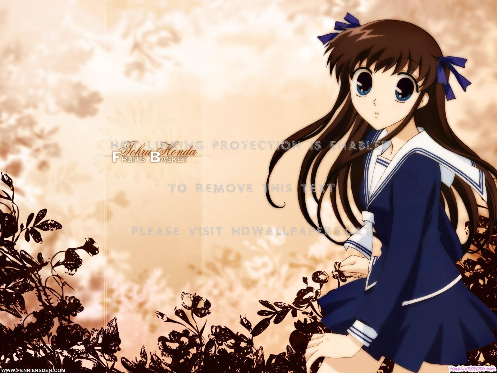 1600x1200 fruits basket p tohru honda furuba black