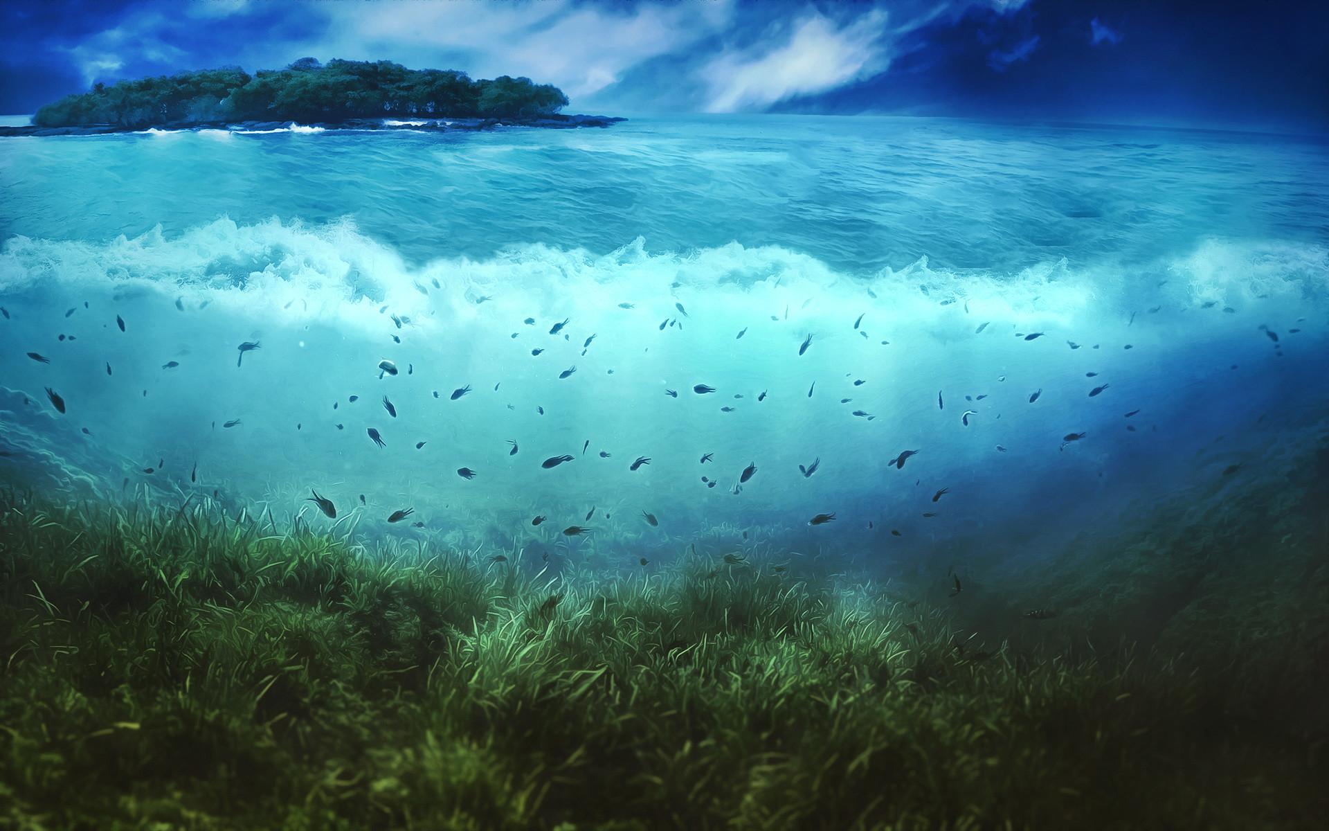 1920x1200 HD Ocean Sea Life