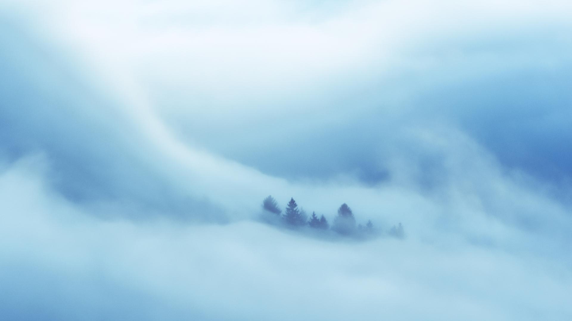 1920x1080 Clouds Covered Heaven Trees 5k Laptop Full HD 1080P HD 4k Wallpaper, Image, Background, Photo and Picture