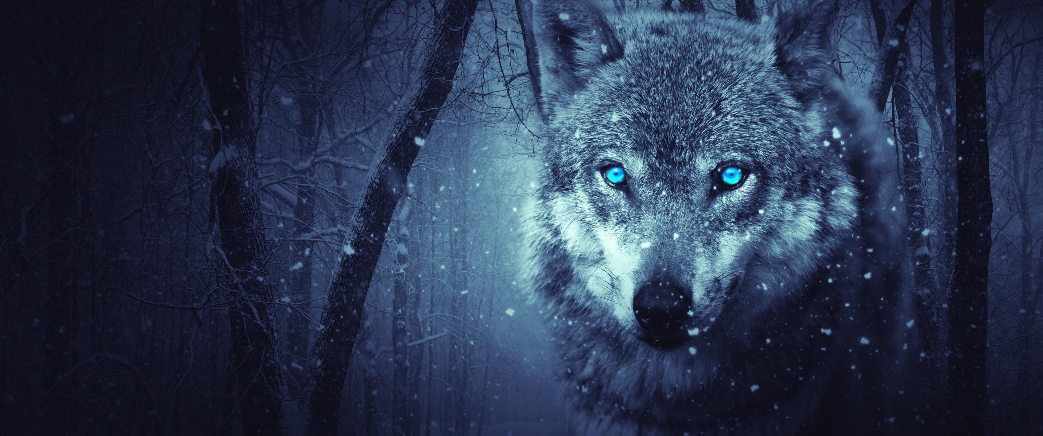 Neon Blue Wolf Wallpapers - Top Free Neon Blue Wolf Backgrounds ...