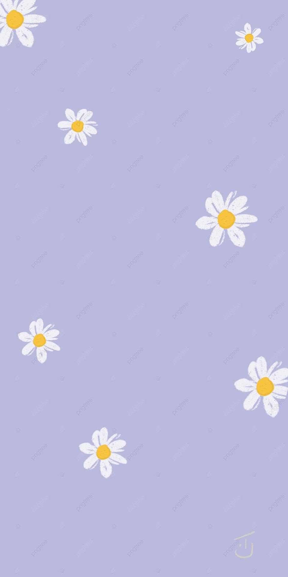 960x1920 Small Daisy Purple Mobile Phone Wallpaper Background. Cute flower wallpaper, Cute wallpaper for phone, Daisy wallpaper
