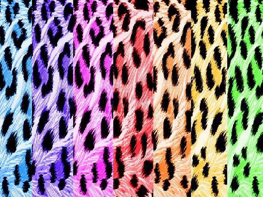1024x768 Zebra Print wallpaperx768