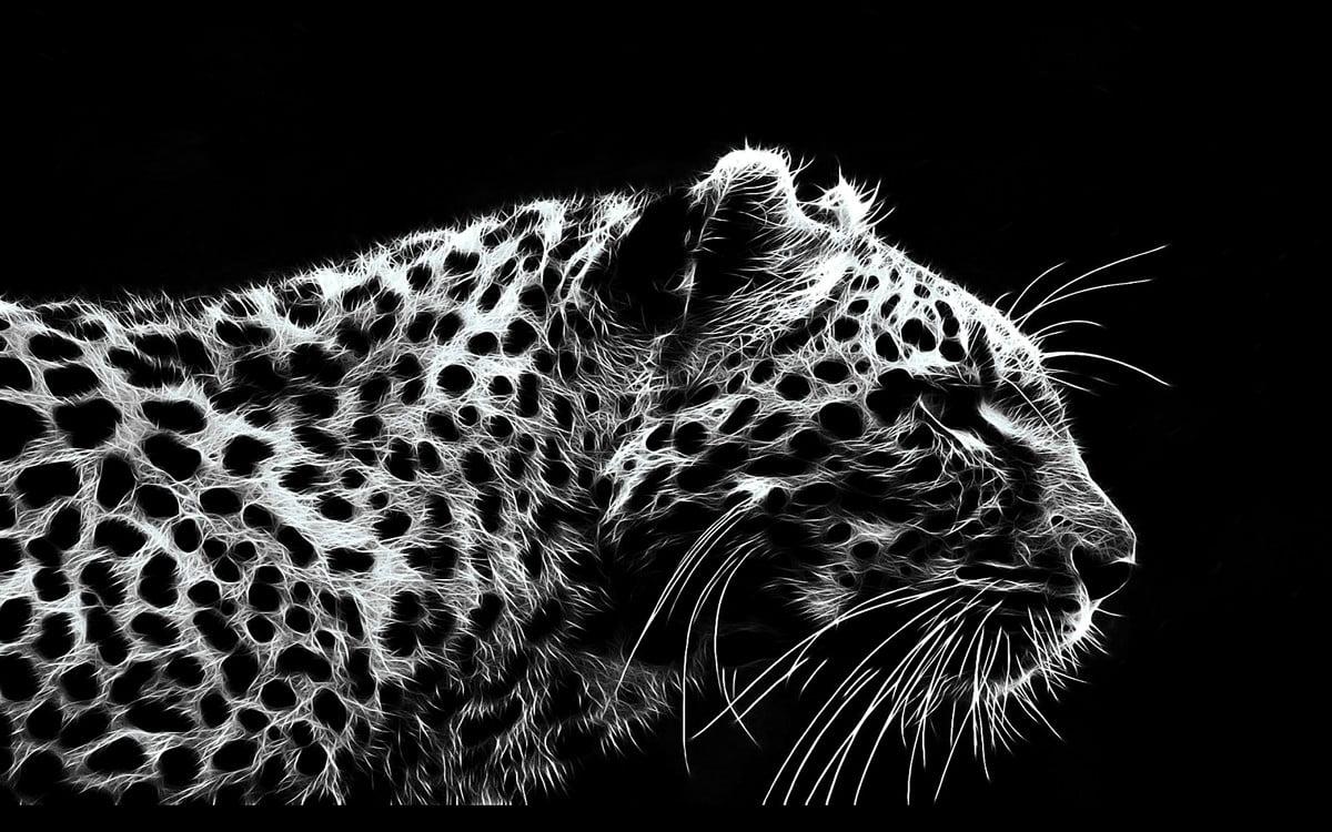 1200x750 Leopard background HD. Download Free wallpaper