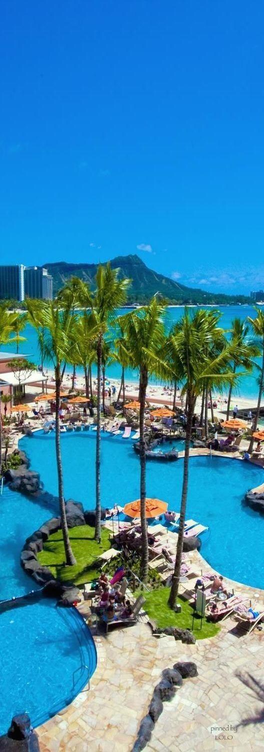 528x1500 Waikiki Hawaii Oahu Beach Crab 8k Wallpaper Best Of 25 Best Sea